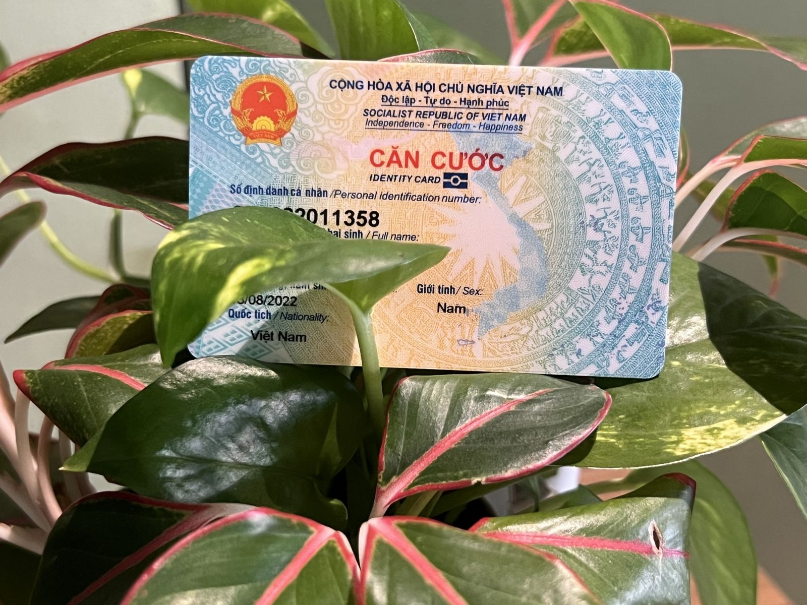 cấp lại căn cước công dân bị mất 